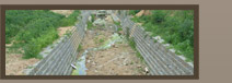 Enlarge this image